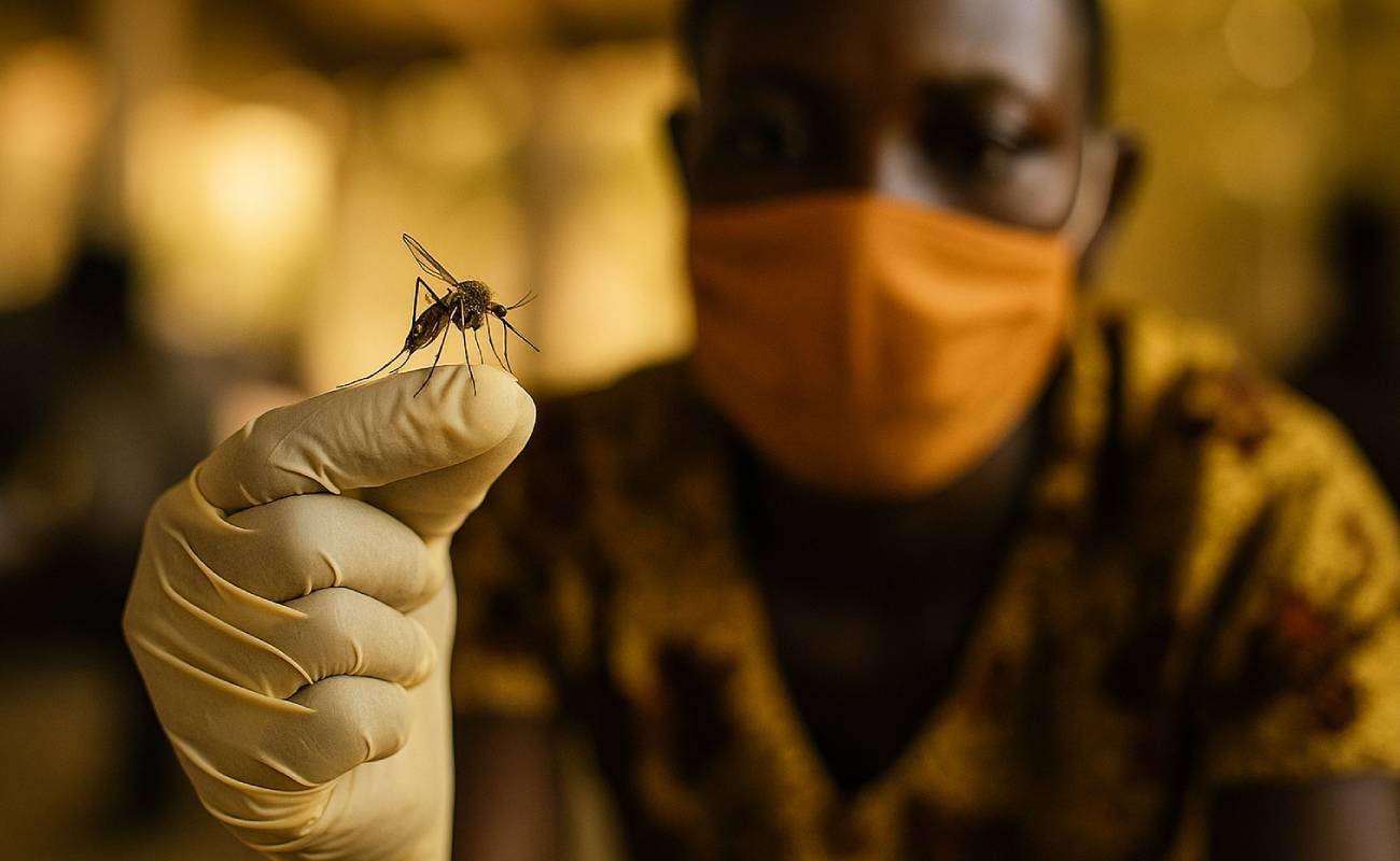 Küresel fonda kesinti iddiası: Yüz binlerce hayat tehlikede